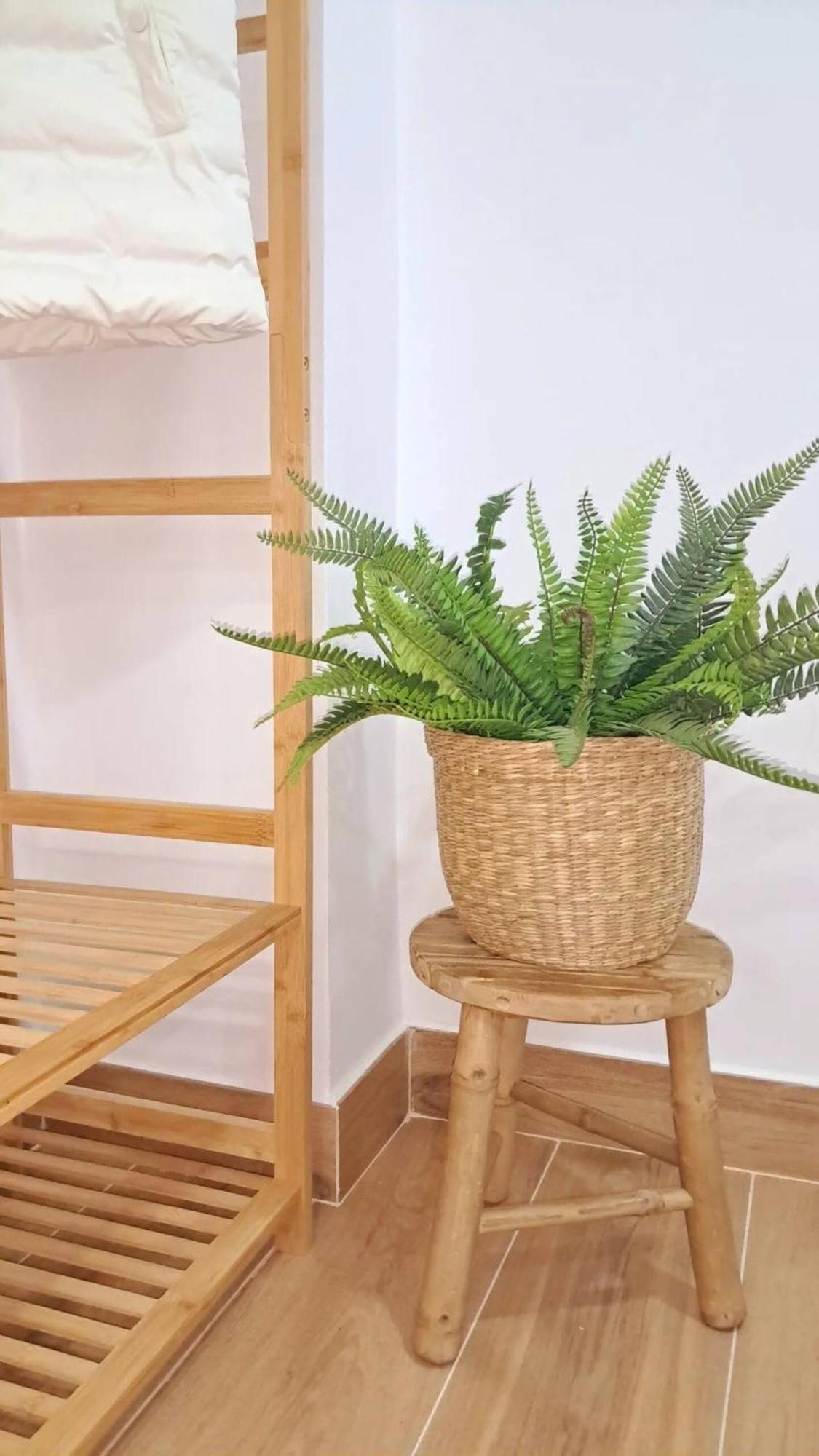Coffee & Calm Triana Apartment Севілья Екстер'єр фото